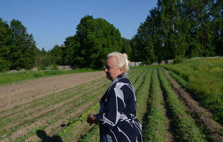 zaun_oposchka_02